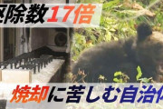 【ヒグマ】焼却施設が限界　駆除数17倍で処理に追われる自治体　1頭焼却に灯油100リットル　作業追いつかずに腐敗進み埋めるケースも