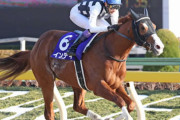 19年フェブラリーS勝ち馬インティが引退 種牡馬入り