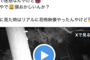 【動画】動物愛護女さん「これじゃクマさんが危ない…！」  深夜の山奥に現れクマの罠を解除してしまう・・・
