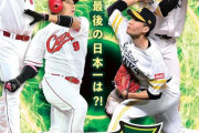 18年鷹鯉の日本シリーズの思い出