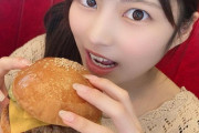 【画像】こういう明らかにかぶりつけないハンバーガー出すショップって何を考えてるの？?