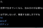 ゲーマーさんお気持ち「ゲームは息抜き。努力してなんの意味がある？努力はリアルでしろ」