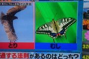 【悲報】高校生クイズさん、とんでもない問題を出して大荒れ… （※画像あり）