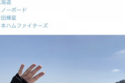 藤川球児「吉田輝星とほぼ毎日連絡取ってる。輝星は寂しがり屋さん」
