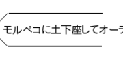 ボルテッカーを一般ポケに配って