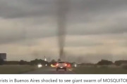 【蚊の呼吸】竜巻のように見えるこの映像、実は「巨大な蚊の柱」です…アルゼンチンのブエノスアイレスで大量発生してしまう