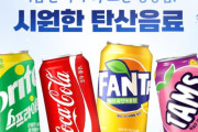韓国人「韓国はどうしてこんなに炭酸飲料が高いのか？」