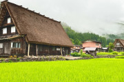 海外視聴者「家と村の景色が素敵！」雨の中の岐阜県白川郷・高山の旅