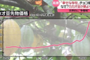 【悲報】｢カカオ豆｣､記録的な不作で世界で争奪戦 チョコレートの値上げ続きそう