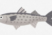 【画像】魚のプロおる？これなんて魚や？