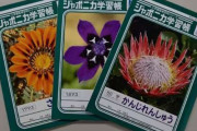 ジャポニカ学習帳、表紙を写真からイラストに　発売55年で大幅刷新　過去には保護者らから「昆虫が気持ち悪い」という声も