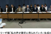 大物声優「私の声が勝手に売られていた、私の声は商売道具で人生そのもの！生成AI規制して！」 絵師「生成AI規制しろ」⇒ 日本政府「・・・・。」無視・・・なぜなのか