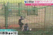 【gif】石川昂弥、軽く打って柵超えwwww