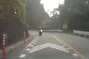 【山梨】道志でその運転は自殺行為。カーブで反対車線に飛び出したバイクにヒヤッとするドラレコ動画。