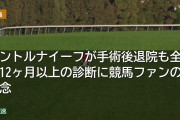 パントルナイーフが手術後退院も全治12ヶ月以上の診断に競馬ファンの懸念
