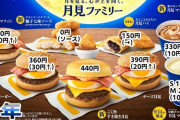 【悲報】月見バーガーさん、こっそり値上げｗｗｗ