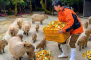 長崎バイオパークの飼育現場に海外も注目　2000匹の動物を支える餌やりと飼育員の仕事