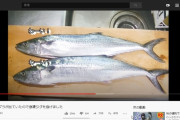 釣り人ワイ「昨日のイサキどうやった？」友達「おう旨かったわ」　→