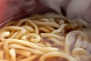 お米高いから１９円のうどんばっか食ってる