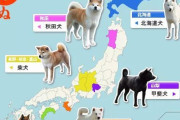 海外「飼いたい！」紀州犬に秋田犬！日本のち方に点在する『ご当地犬』に海外メロメロ（海外反応）