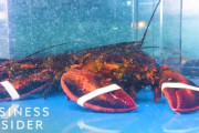 「昔は貧乏人の食事だったのに」ロブスターはなぜ高価なのか 海外の反応