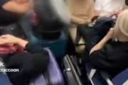 【動画】日本人、バカでかいスーツケースで電車の通路を塞ぐ外国人にブチギレる