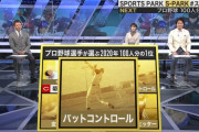 【2020】この選手がスゴい！プロ野球100人分の1位　バットコントロール部門