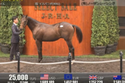【セレクトセール2025】イスパニダの2024(父コントレイル)が25,000万円で落札　他