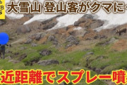 【北海道】「マジかよ…」大雪山でクマに近づきスプレー噴射する男性　別の登山客も至近距離でクマを記念撮影