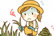 【衝撃】ワイ「強敵すぎる雑草が現れたんだが」→『この除草剤』が最強だったｗｗｗｗｗ