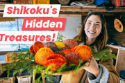 海外「良いところ！」「きれい！」愛媛にあるカラフルな貝が名産の漁師町のガイド動画に関心