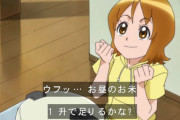 【画像】ごはんのプリキュアといえば・・・