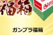 ビックカメラのガンプラ福袋、とんでもない倍率になる…