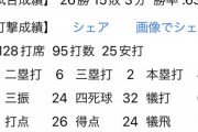 ワイ草野球ルーキー、成績が凡すぎる