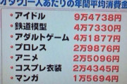 【悲報】オタク「助けて！経済回そうと推しのグッズ買いまくったら給料半減して死にそうなの！」