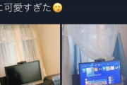 【女さん】APEXの女性ゲーマーさん　コンバーターの映った画像をアップしてしまい炎上