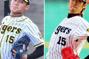 【阪神】西純矢と藤田太陽氏プロへの交流、背番15の縁