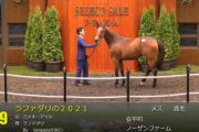 【セレクトセール2022】ラファダリの2021(父ミッキーアイル)　名古屋競馬が落札