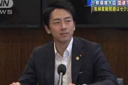 【小泉環境大臣】「気候変動問題は楽しく、かっこ良く、セクシーであるべき」 国連で演説