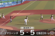 日ハム、ロッテと5-5の引き分け　打線10安打5得点、上沢350日ぶり対外試合登板2回2失点