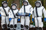 アメリカ農務省、オオスズメバチ駆除作戦により根絶したことを発表！