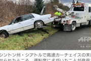 【速報】高速160kmで蛇行運転していた犬を逮捕