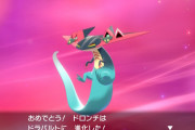 ポケモン剣盾、ゴーストモンスターだった
