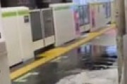 【動画】 ゲリラ豪雨で品川駅がとんでもないことになっていると騒然 「盛大な雨漏りとホーム下水逆流」