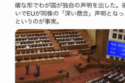 共同通信の「中国批判声明に日本参加拒否」報道、実はフェイクニュースだった！？