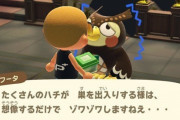 【あつまれどうぶつの森】今更だけどフータが虫嫌いだって設定いるかな？
