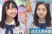 日向坂46『ひなあい』久しぶりにアイドル番組をやってみた結果ｗｗ【日向坂で会いましょう】