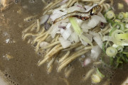 【画像】こういう煮干しラーメン食べたことない