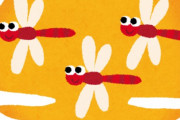 トンボってあんなにいっぱいいるのに人間に攻撃してこないのはなんでなの？