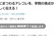 【悲報】NHKさん、コンドームのぬいぐるみ「まっきぃ」なるものを受信料から作ってしまう